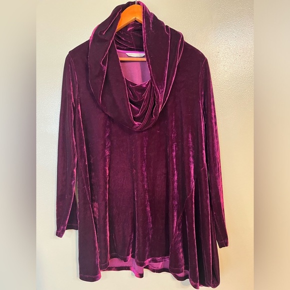 Soft Soundings Womens Burgundy Velvet Cowl Neck Holiday Casual Tunic Top LP - Picture 1 of 11